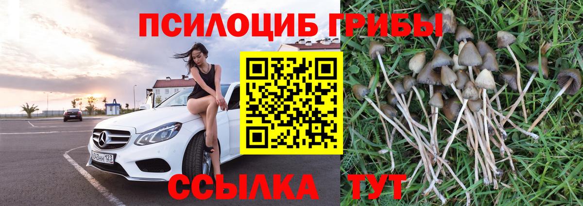 наркотики  Вход с VPN  Псилоцибиновые грибы ЛСД  Горячий Ключ  Галлюциногенные грибы мухоморы 