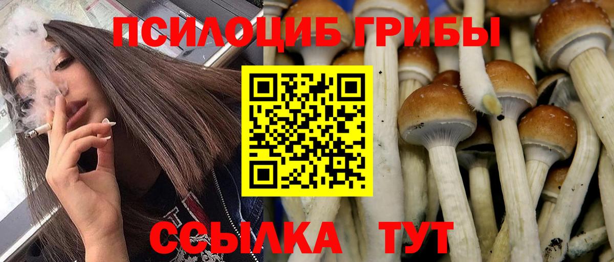 Галлюциногенные грибы ЛСД Горячий Ключ